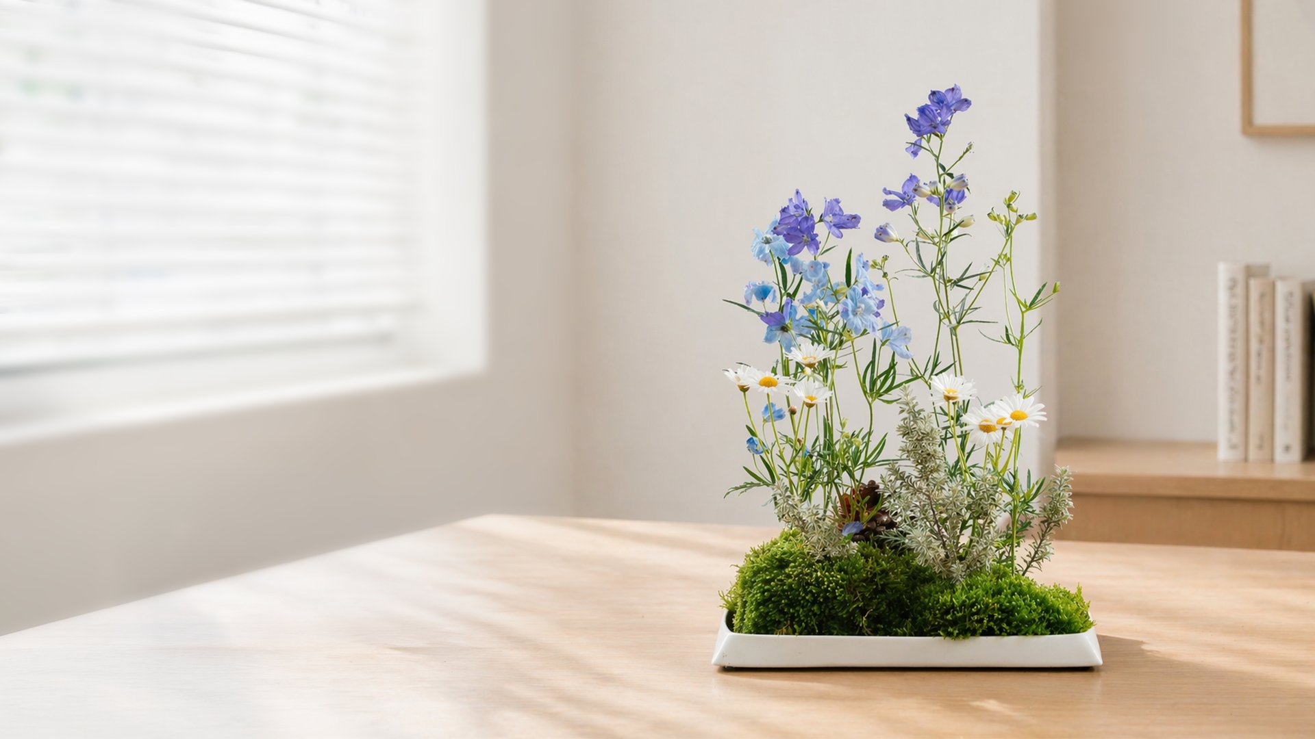 書房｜微型庭園